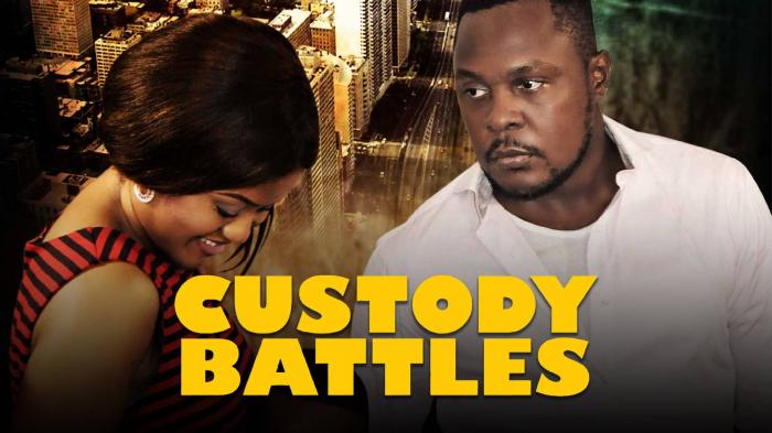 Custody Battles