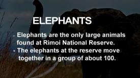 Youth Safaris Part 1