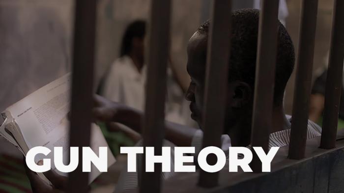 Gun Theory