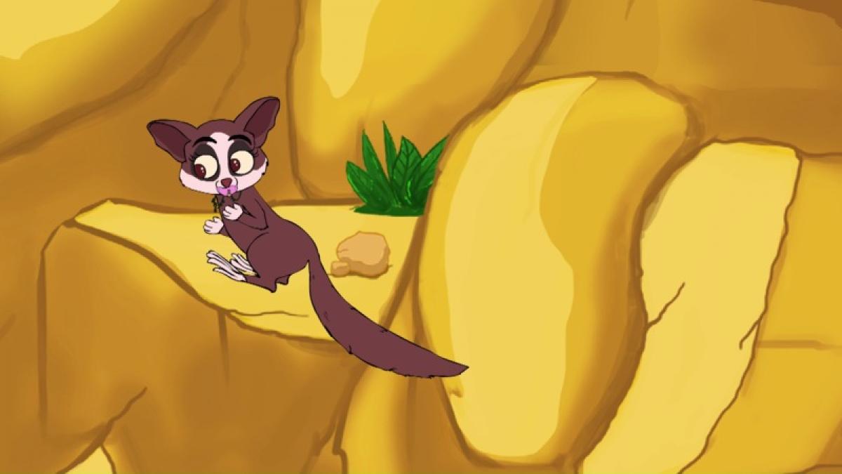 Bush Baby
