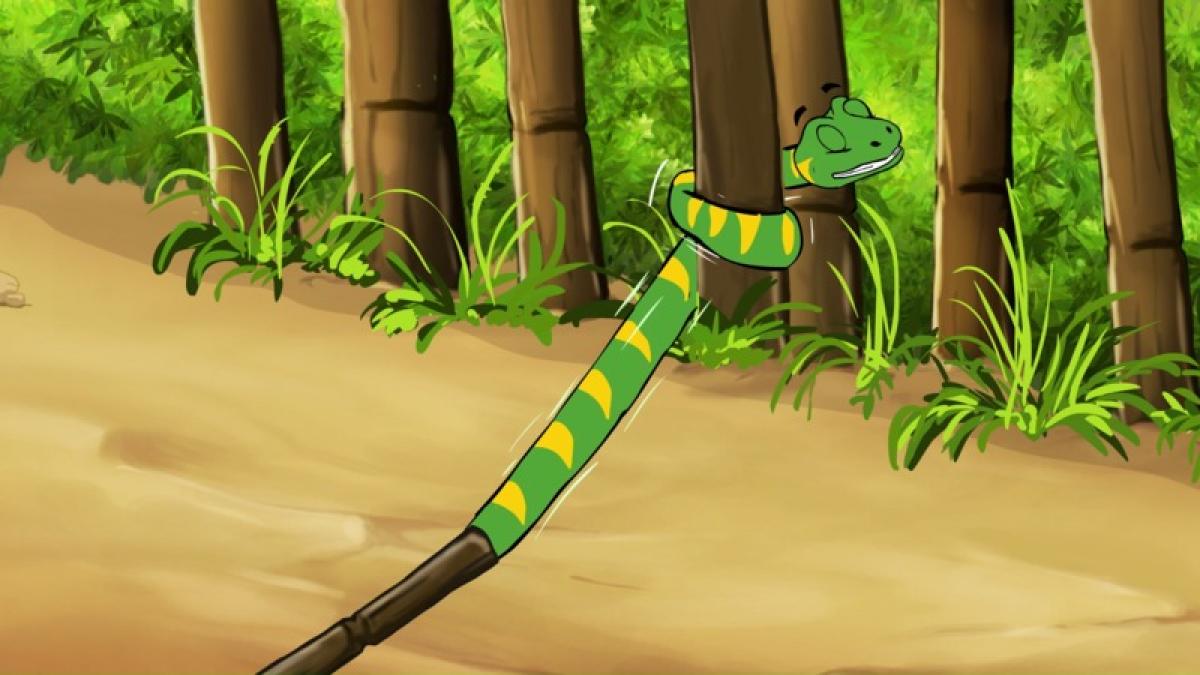 Python