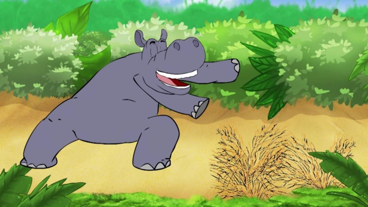 Hippo