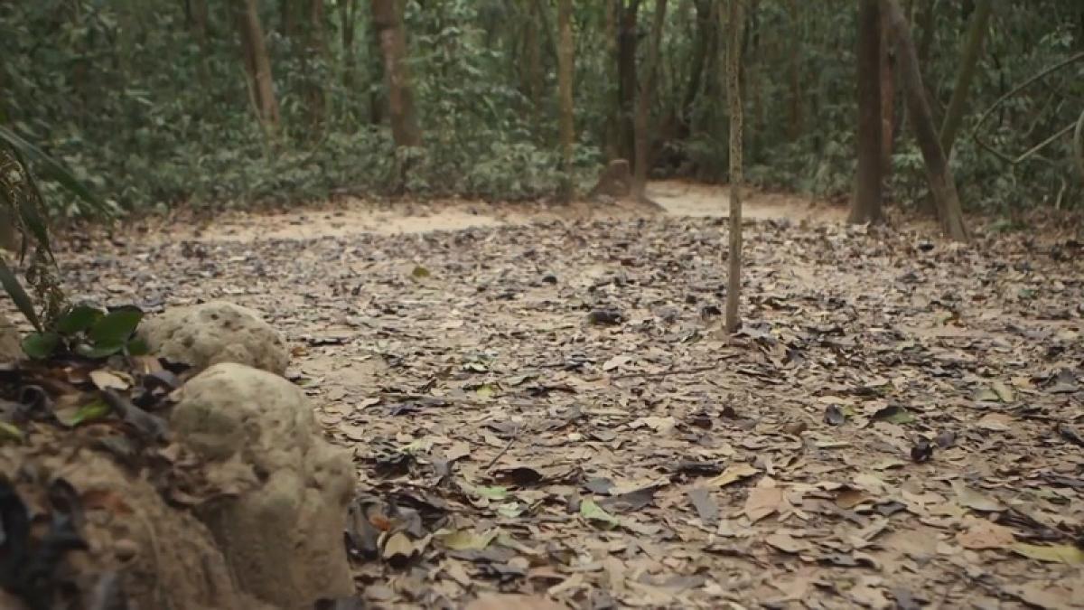 Vietnam's Cuchi Tunnels