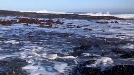 Desert Coast
