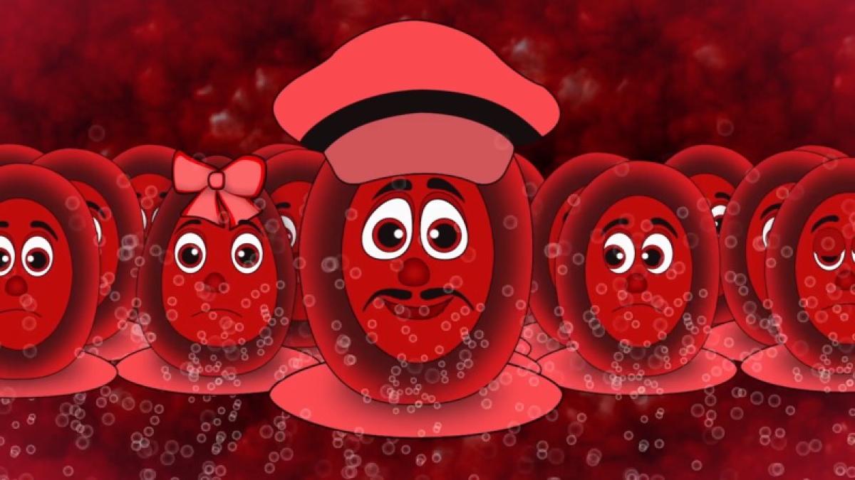 The Curious Blood Cells