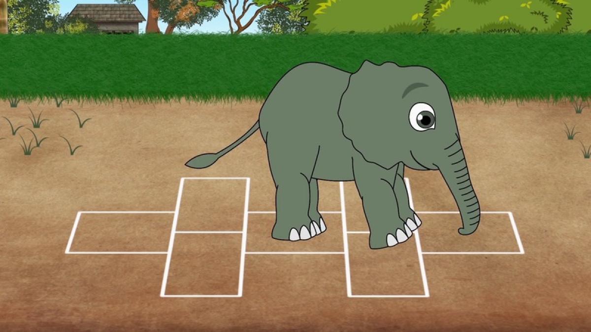 Animal Olympics
