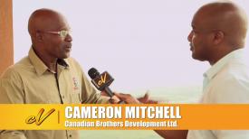 Jamaica Real Estate and Business