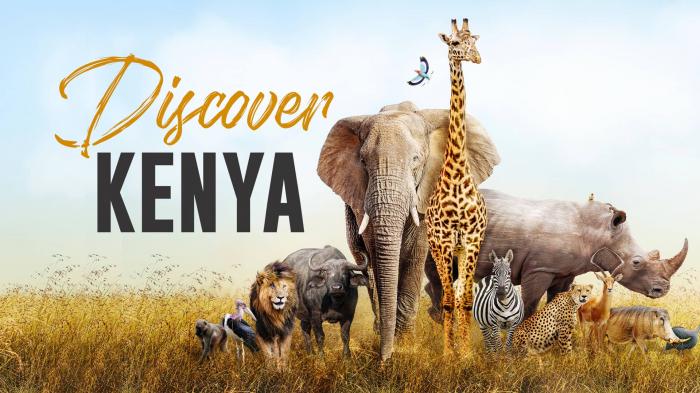 Discover Kenya