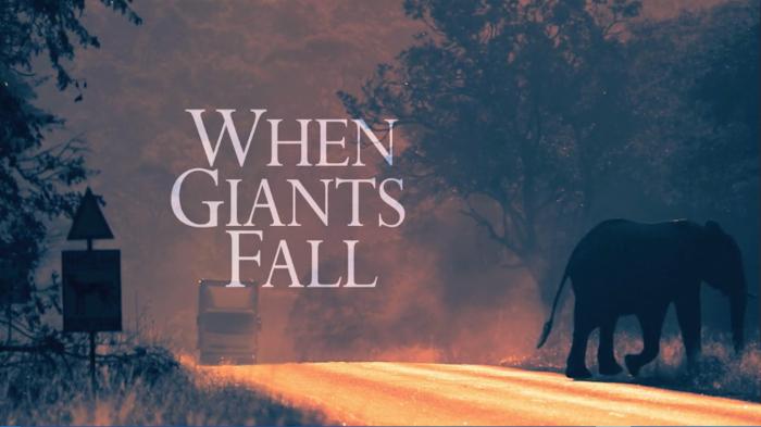 When Giants Fall