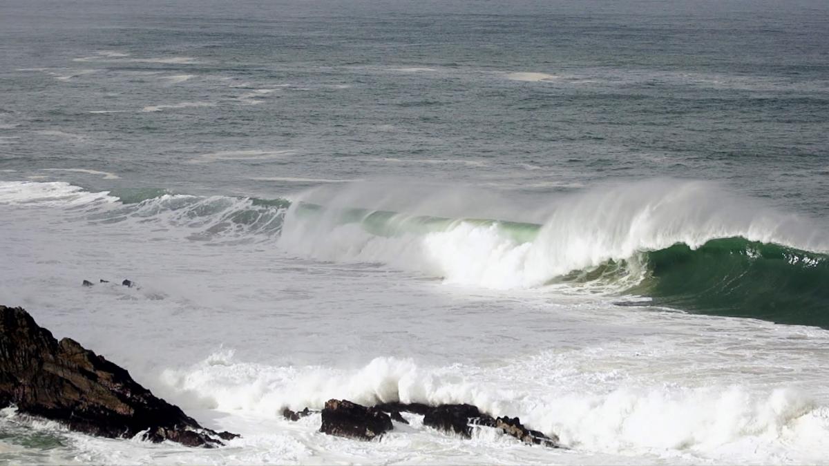 Wild Coast: Miarestate Hotel