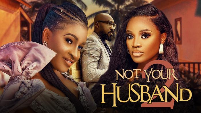 Not Your Husband 2