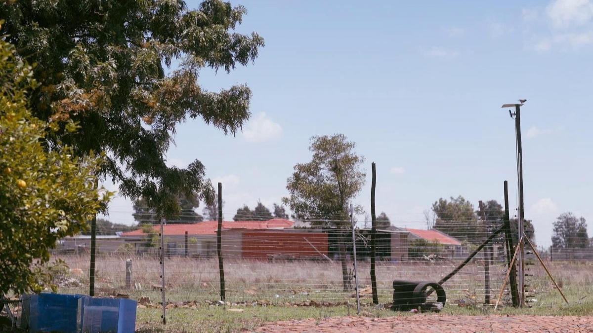 Crime and Punishment in South Africa