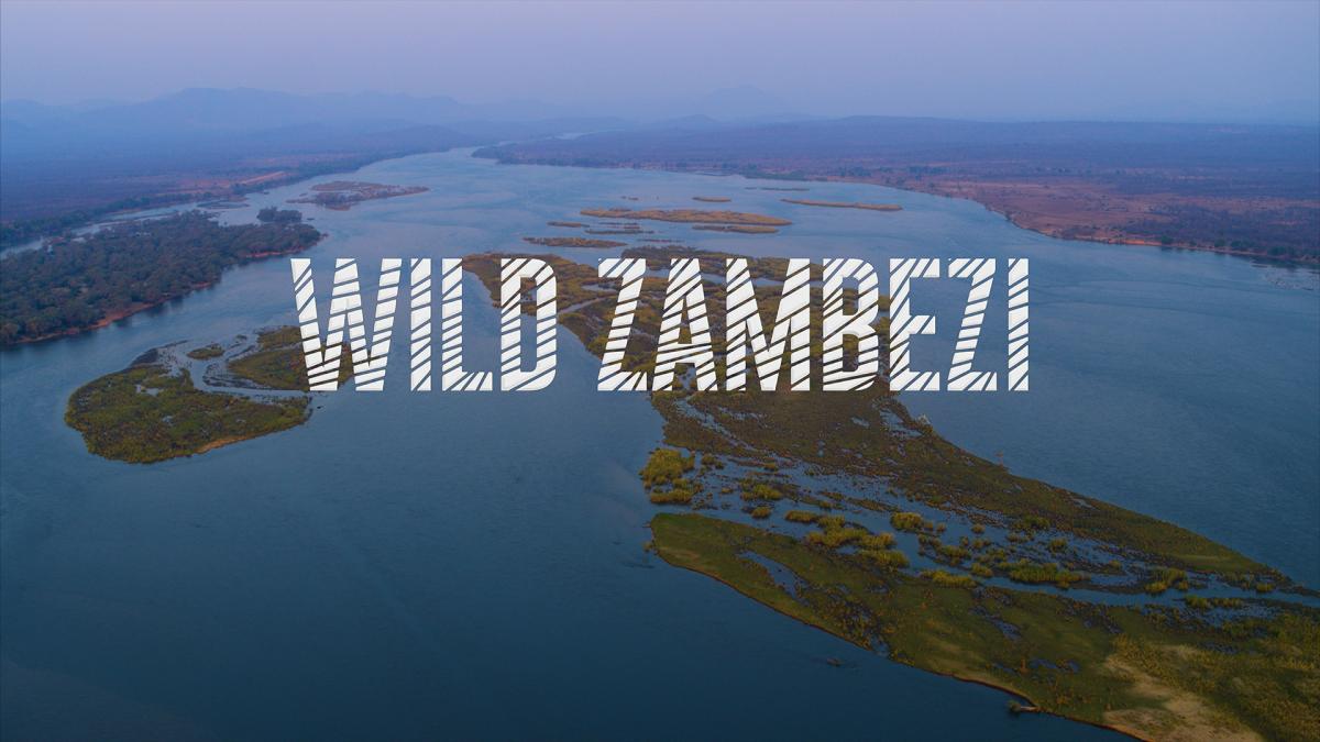 Wild Zambezi