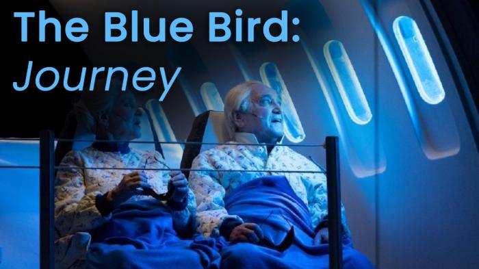 Image illustrating The Blue Bird (Journey) rental