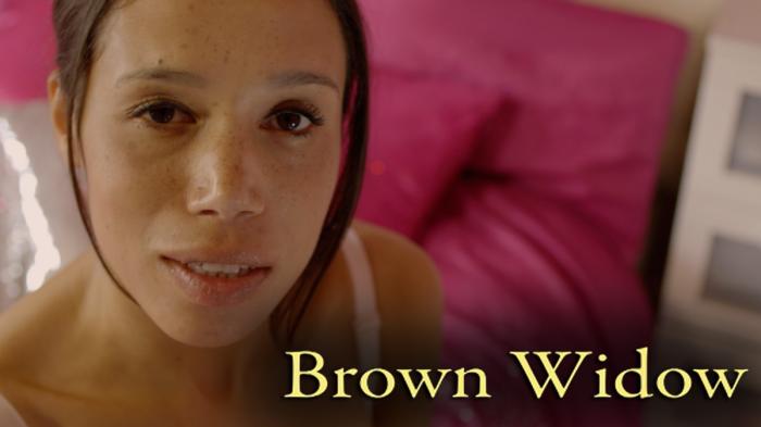 Brown Widow