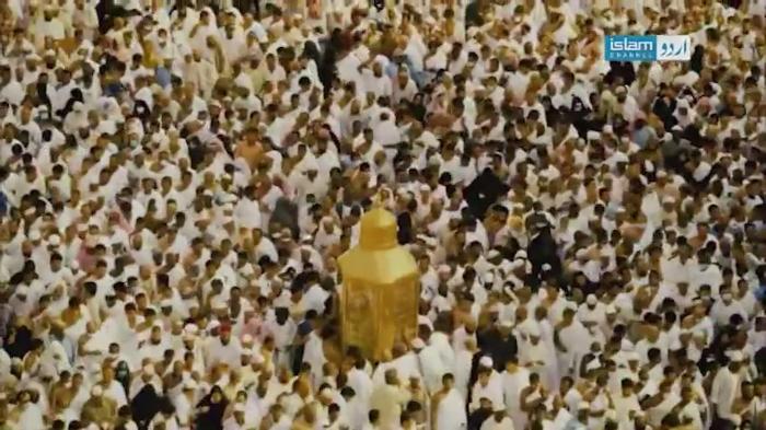 STG HAJJ 2018 ARAFAT DAY 