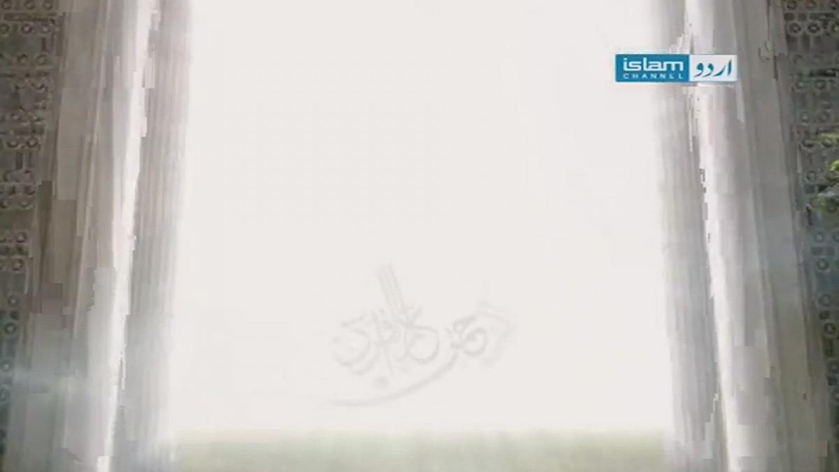 Episode 11
