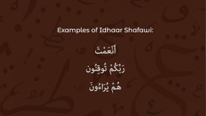STG Tajweed Show