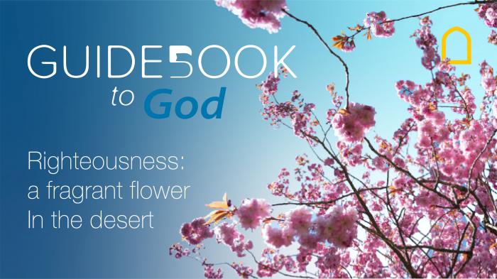 Guidebook to God