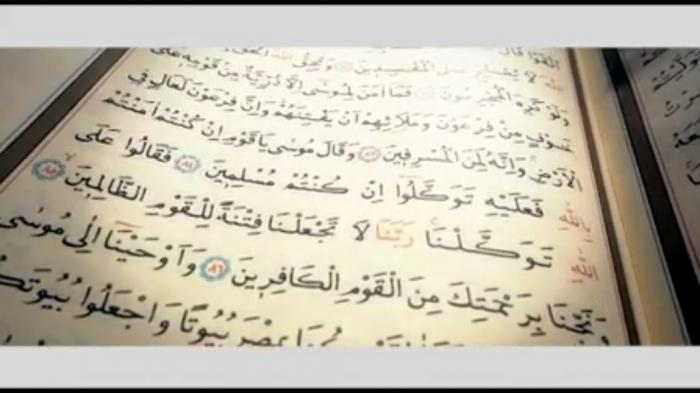 STG Reflections On The Prophets