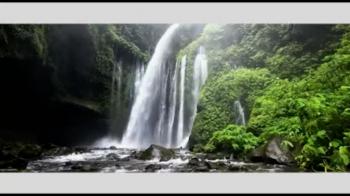 Reflections On The Prophets