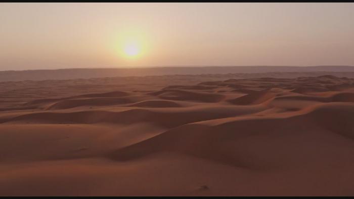 STG Reflections On The Prophets