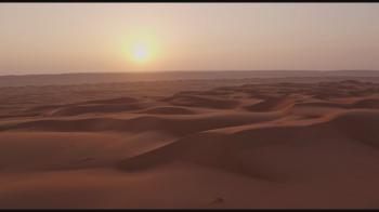 Reflections On The Prophets