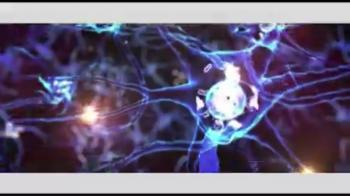 Reflections On The Prophets