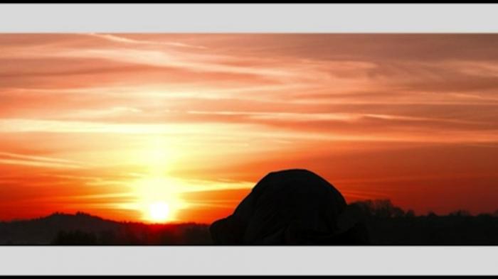 STG Reflections On The Prophets