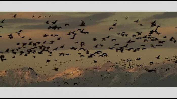 STG Reflections On The Prophets