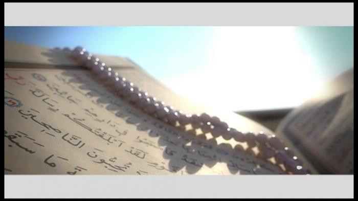 STG Reflections On The Prophets