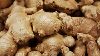 Richness of Creations - Ginger