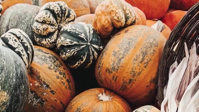 STG Richness of Creations - Pumpkin