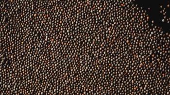 Richness of Creations - Mustard