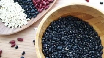 Richness of Creations - Beans