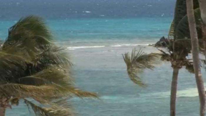 STG Richness of Creations - Wind