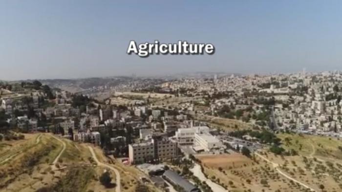 STG Agriculture