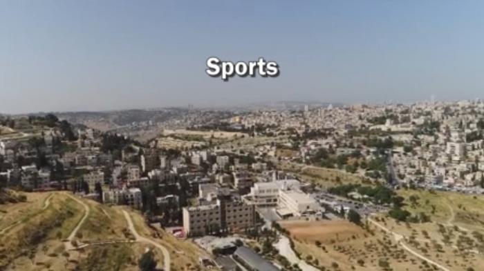 STG Sports