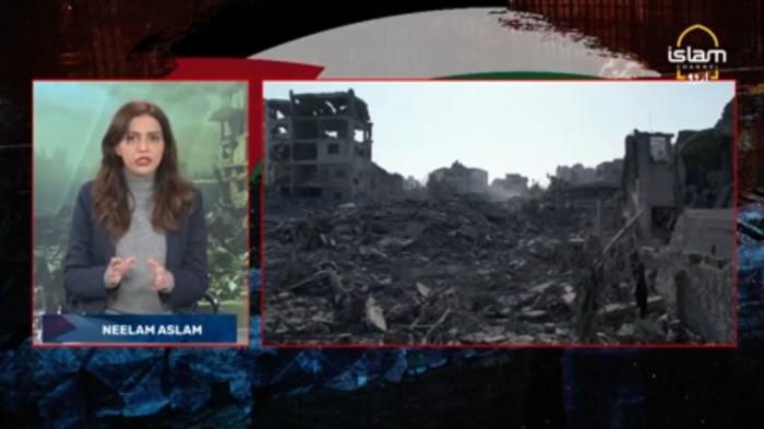 Palestine Laho Laho