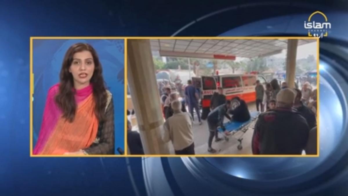 News Roundup: Palestine Situation