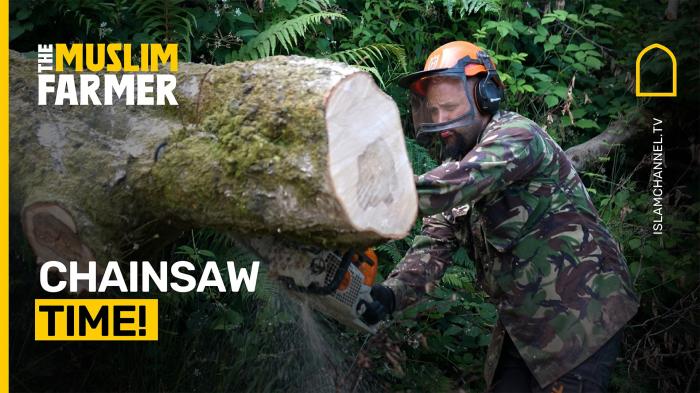 CHAINSAW TIME! Clearing a Fallen Tree! 
