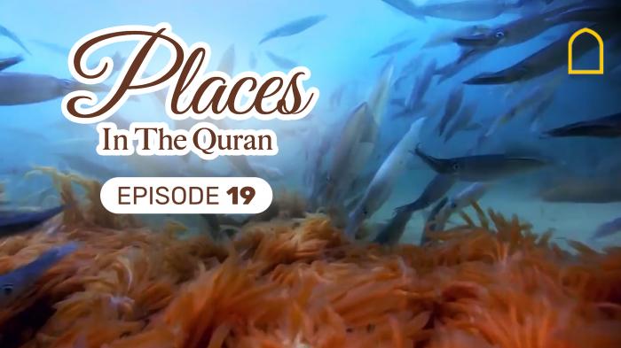 Places in the Quran Episode 19