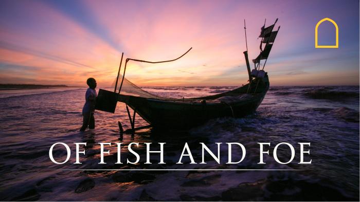 STG Of Fish and Foe