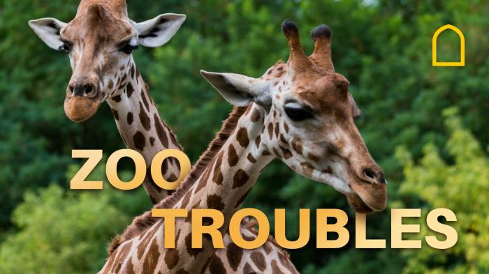 STG Zoo Troubles