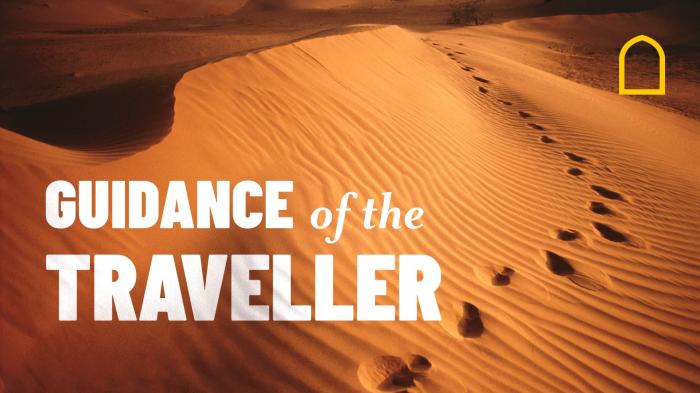 STG Guidance of The Traveller