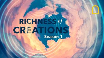 Richness of Creations - Wind