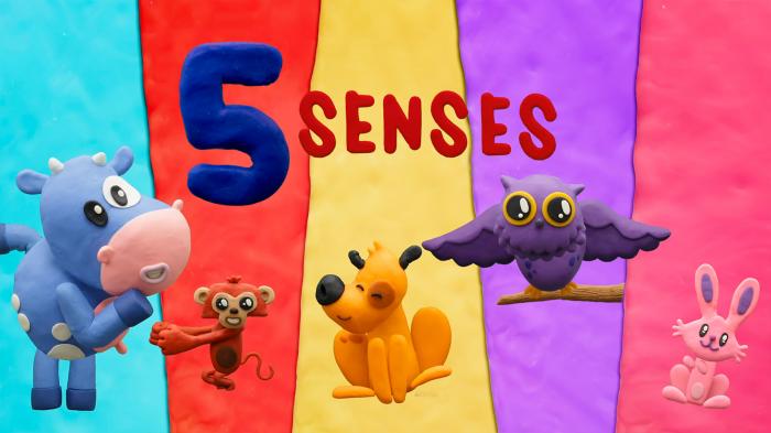 Five Senses Song