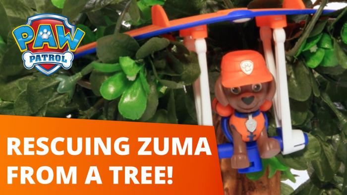 Rescuing Zuma