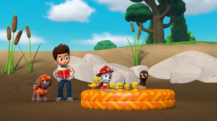 STG Pups Save a Duck Pond