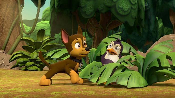 STG Pups Save the Jungle Penguins